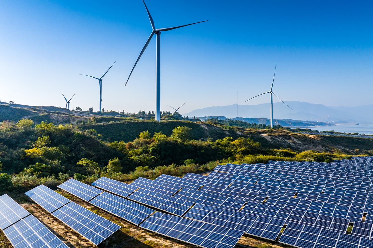 พลังงานหมุนเวียนแซงถ่านหินครั้งแรก แต่การเมืองสหรัฐฯ-จีน อาจถ่วงเป้าหมายโลกปี 2030