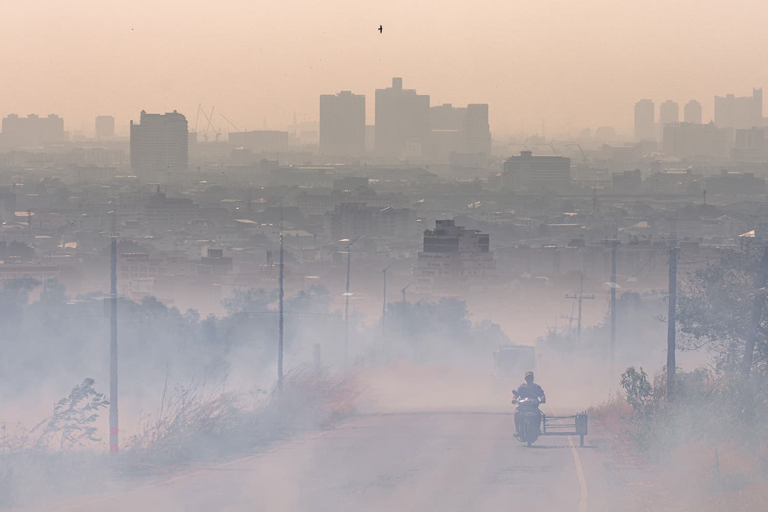 ครม.เคาะแผนสู้ฝุ่น 2569 เร่งลดเผา-คุมต้นตอ ยกระดับเตือนภัย PM2.5