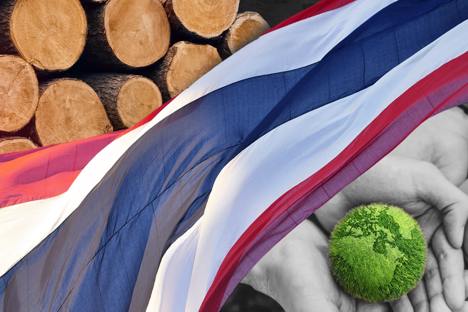 ไทยกับตำแหน่ง Low Risk ในสายตา EU ก้าวใหม่ของเกษตรไทยบนเวทีโลกสีเขียว