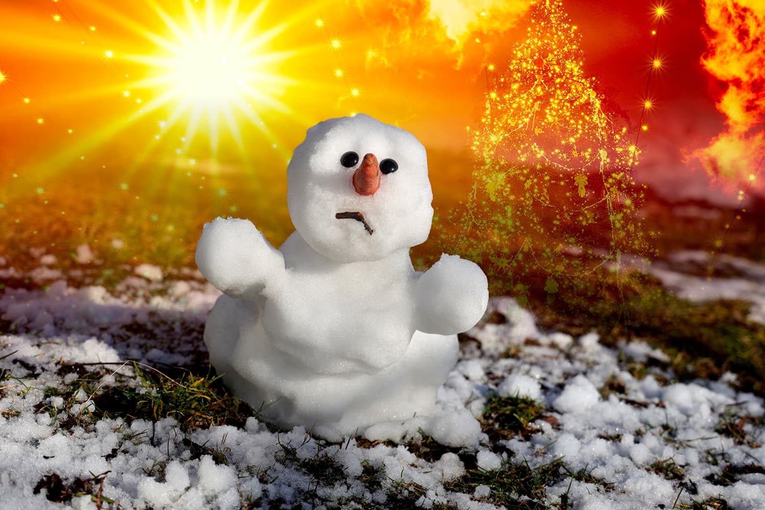 บทวิเคราะห์: ฤดูหนาวที่หายไป วิกฤตคริสต์มาสสหรัฐฯ สัญญาณเตือนภัยในรอบศตวรรษ