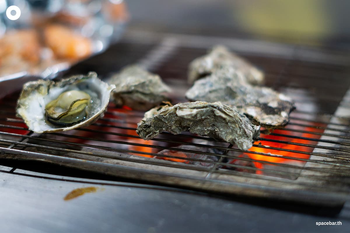 sustainability-warming-accelerates-vibrio-in-oysters-SPACEBAR-Photo02.jpg