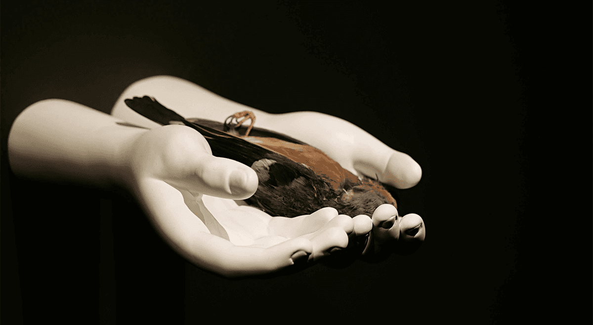 sustainability_bangkok_art_biennale_2024_SPACEBAR_Photo03_ddee19667d.png