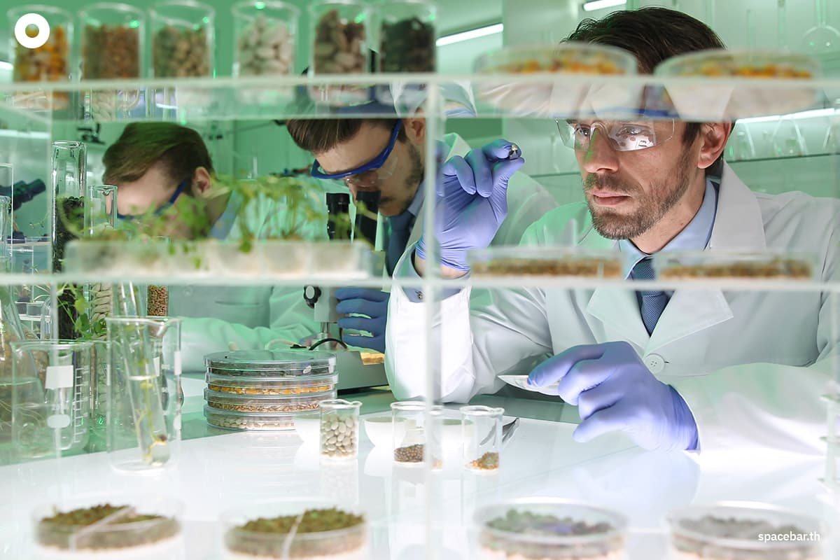 "สิทธิบัตรใหม่" กุญแจสู่ความยั่งยืนของโลก จากโปรตีนพืชถึงนวัตกรรมการพิมพ์อาหาร 3 มิติ เทคโนโลยีใหม่กำลังพลิกโฉมการผลิตอาหารเพื่อลดผลกระทบต่อสิ่งแวดล้อม