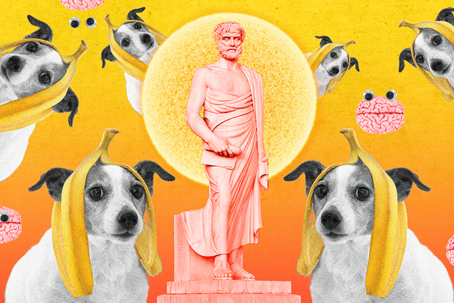 ‘อากาศร้อนส่งผลต่อความฉลาด’ พาสำรวจและพิสูจน์แนวคิดของแอริสโตเติล