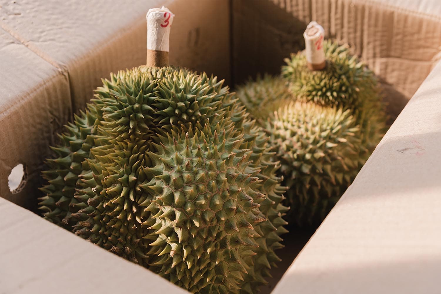 thailandpost_fruit_eastern_region_express_delivery_SPACEBAR_Hero_01b976f678.jpg