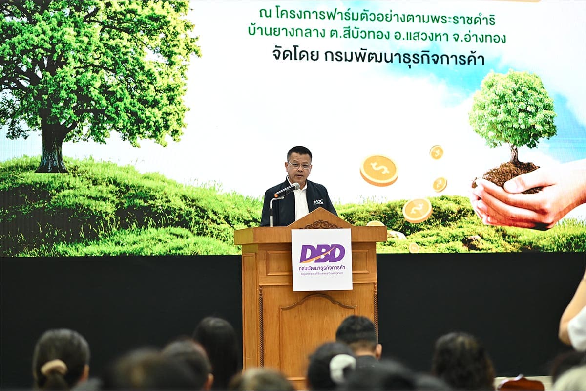 tree-collateral-sme-thailand-SPACEBAR-Photo01.jpg