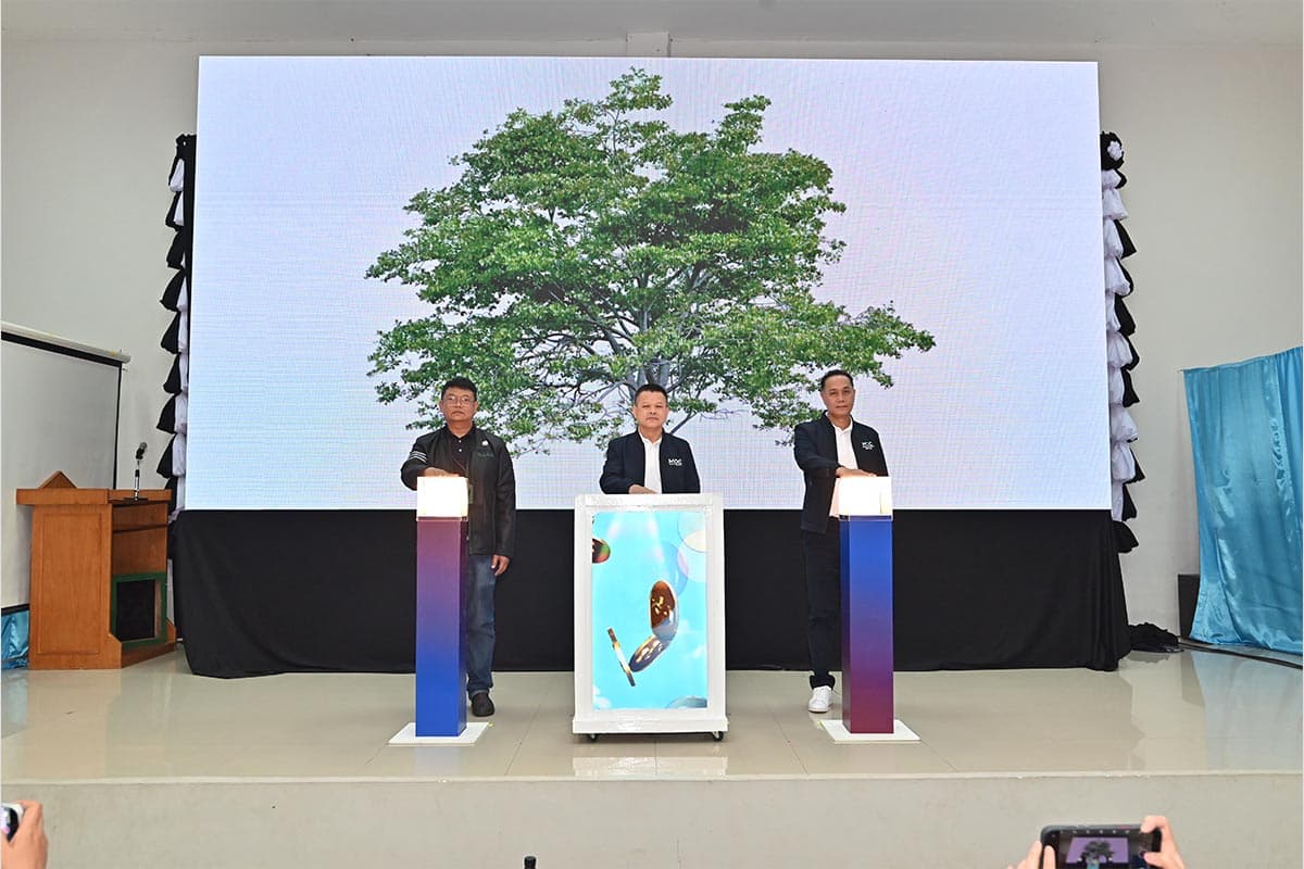 tree-collateral-sme-thailand-SPACEBAR-Photo02.jpg