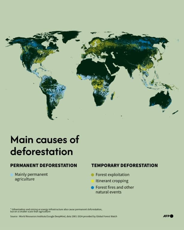 แผนที่โลกแสดงสาเหตุหลักของการทำลายป่าในช่วงปี 2001-2024