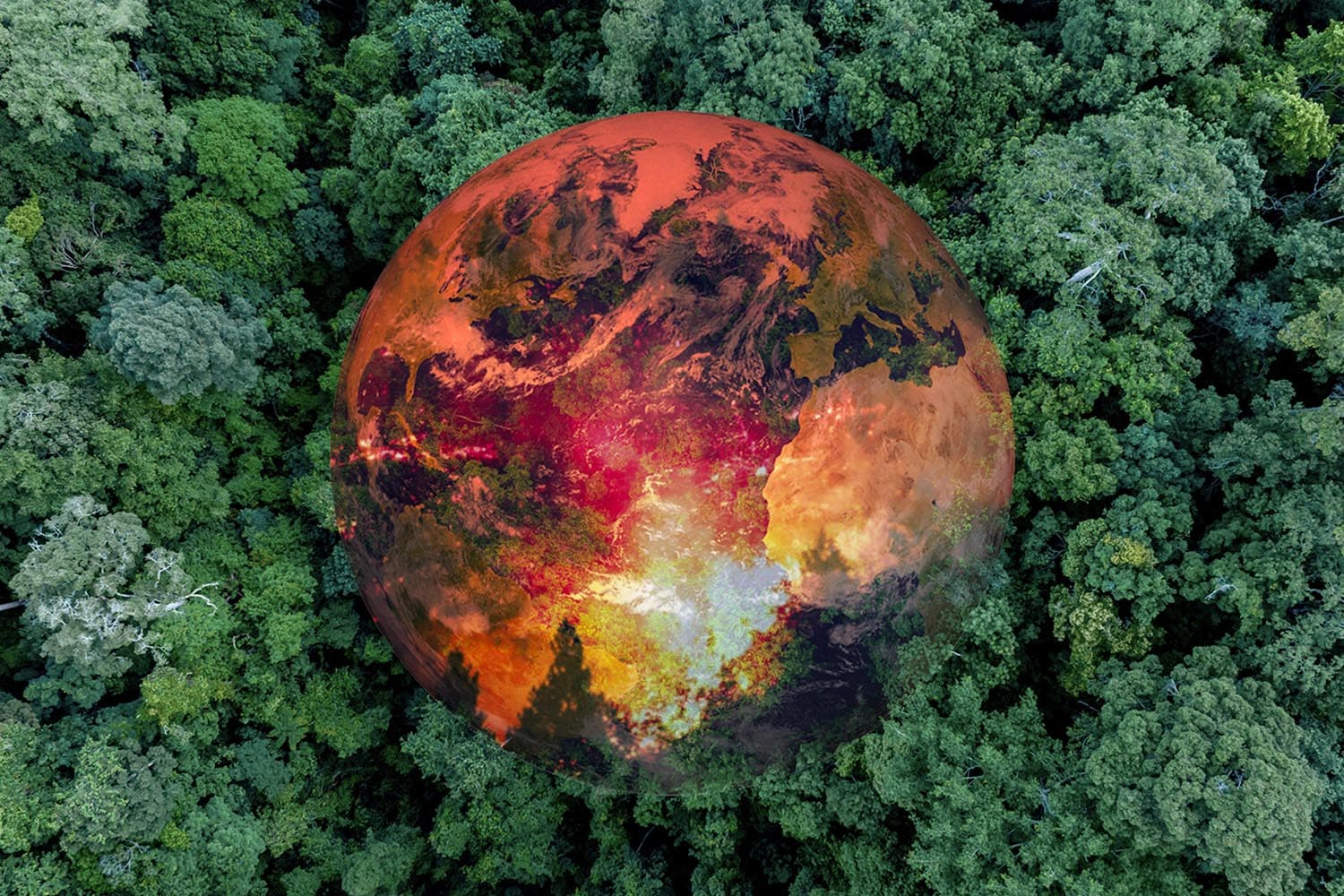 รู้หรือไม่? โลกกำลังสูญเสียพื้นที่ป่าเขตร้อน 11 สนามฟุตบอลต่อนาที