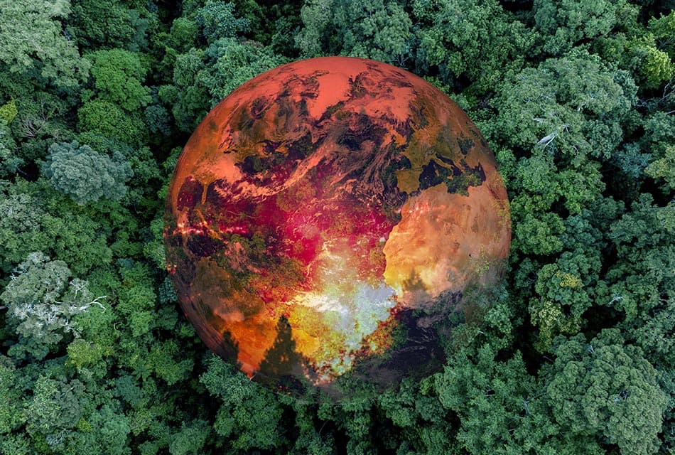 รู้หรือไม่? โลกกำลังสูญเสียพื้นที่ป่าเขตร้อน 11 สนามฟุตบอลต่อนาที