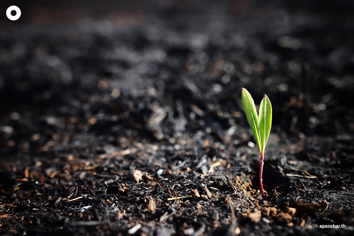 un-warns-carbon-credits-may-worsen-global-warming-SPACEBAR-Photo02.jpg