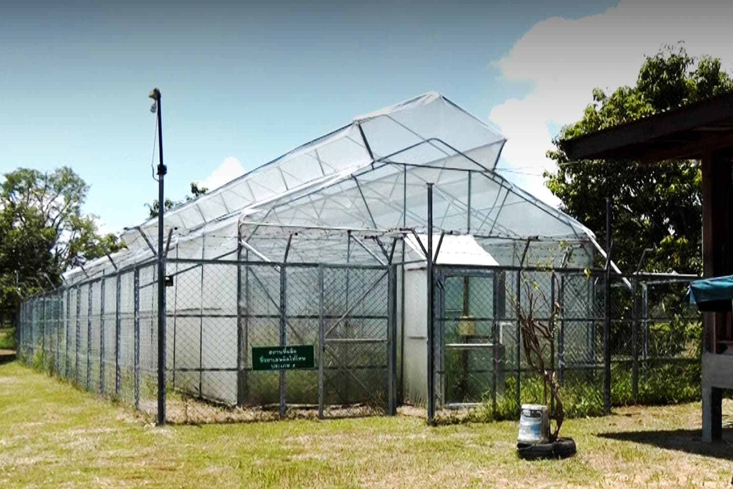 ‘กัญชา’ ไม่เสรี! วิสาหกิจชุมชนขอนแก่น ปล่อยทิ้งร้างโรงเรือนเพาะปลูก