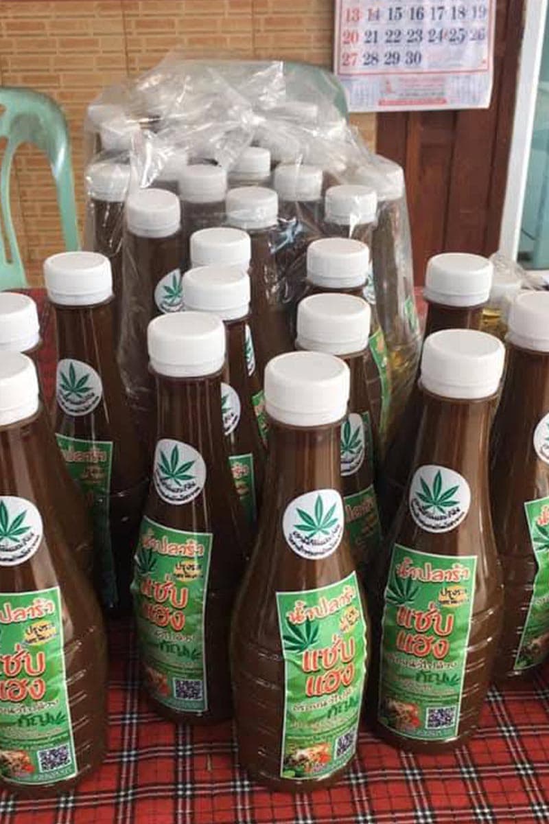 Cannabis-is-not-free-Khon Kaen- community-enterprise-leaves-greenhouses-abandoned-SPACEBAR-Photo V03.jpg