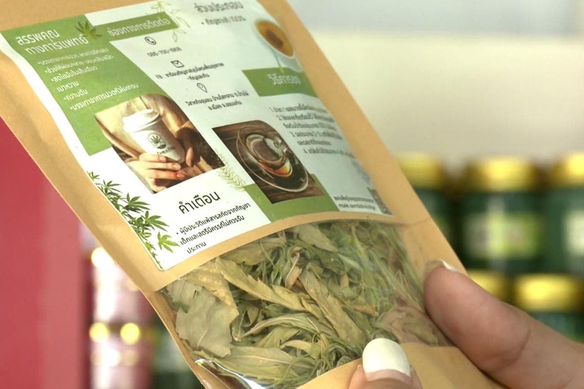 Cannabis-is-not-free-Khon Kaen- community-enterprise-leaves-greenhouses-abandoned-SPACEBAR-Photo02.jpg