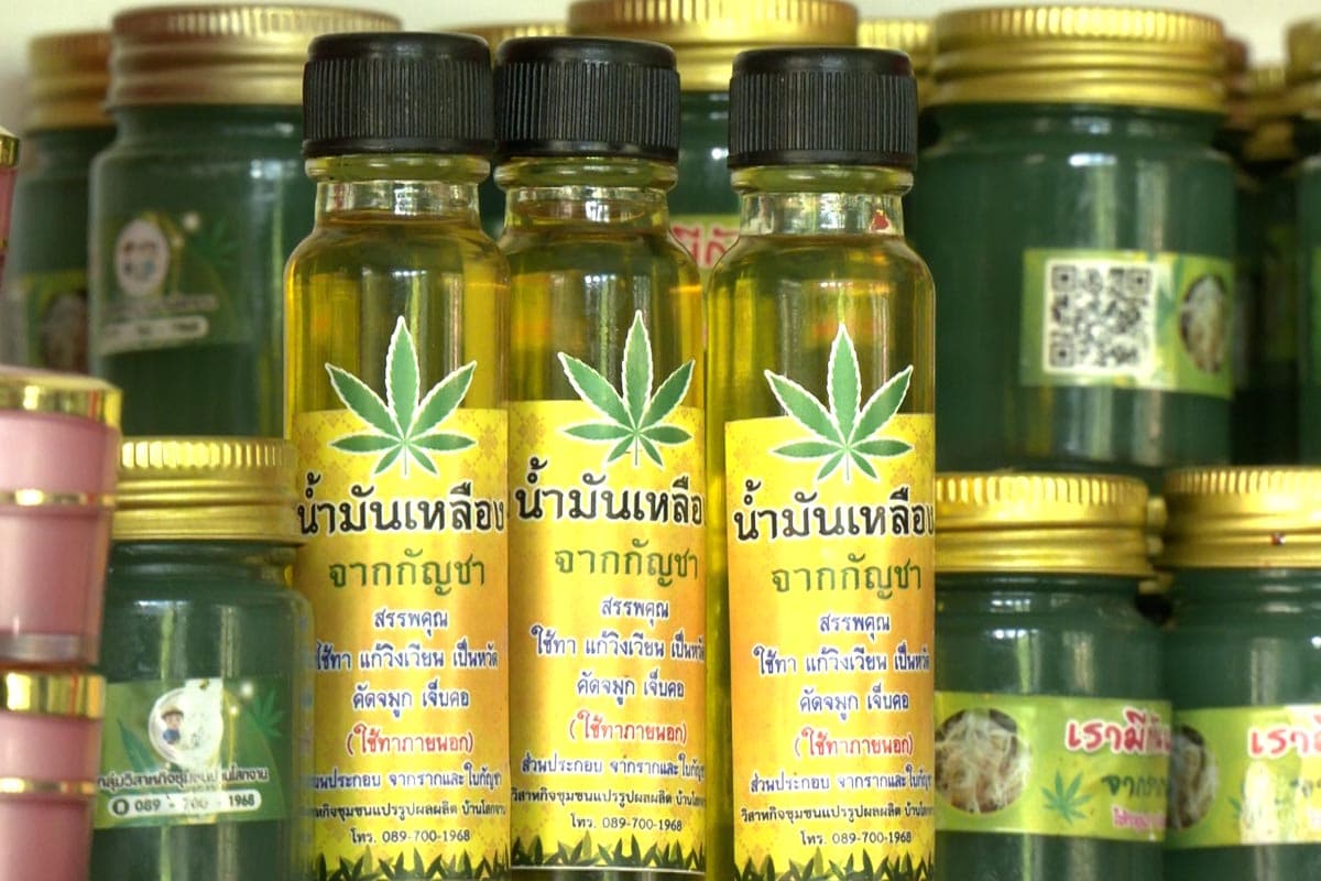 Cannabis-is-not-free-Khon Kaen- community-enterprise-leaves-greenhouses-abandoned-SPACEBAR-Photo04.jpg