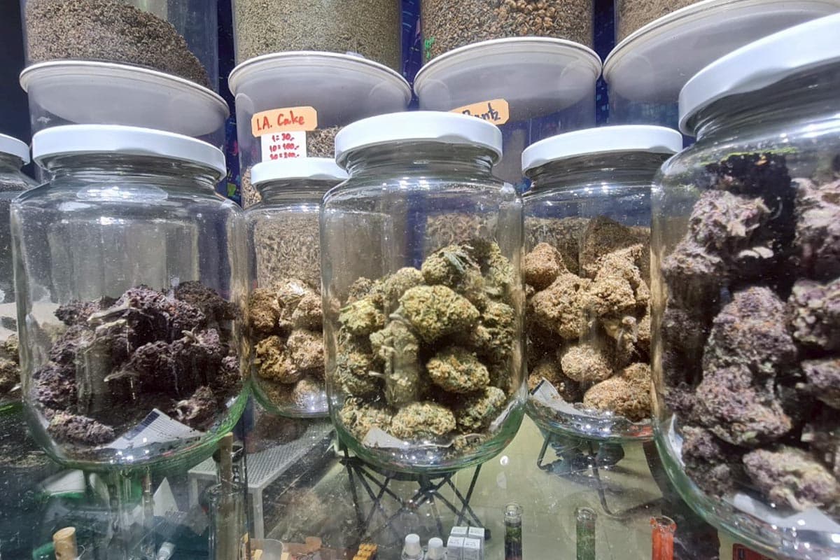 Cannabis-is-not-free-Khon Kaen- community-enterprise-leaves-greenhouses-abandoned-SPACEBAR-Photo05.jpg