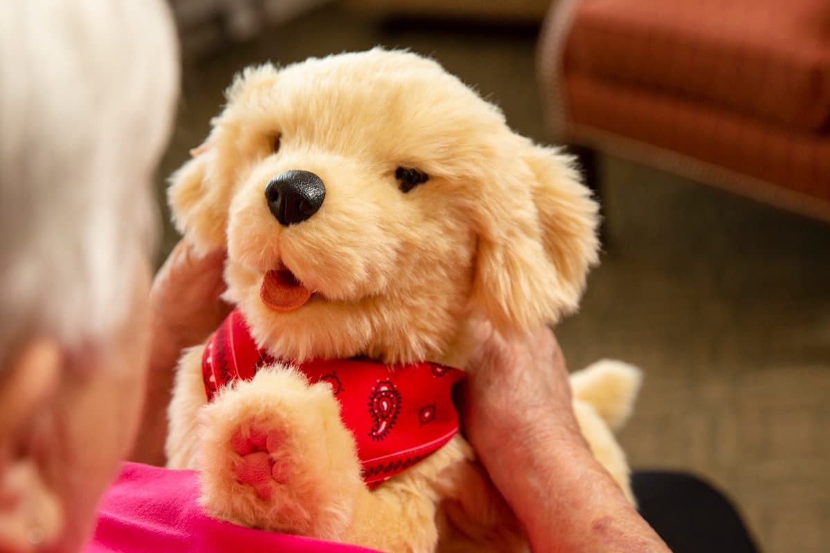 Caretech-opens-the-world- pet-therapy- robots-selling -Thailand-first -in -Asia-SPACEBAR-Photo01.jpg