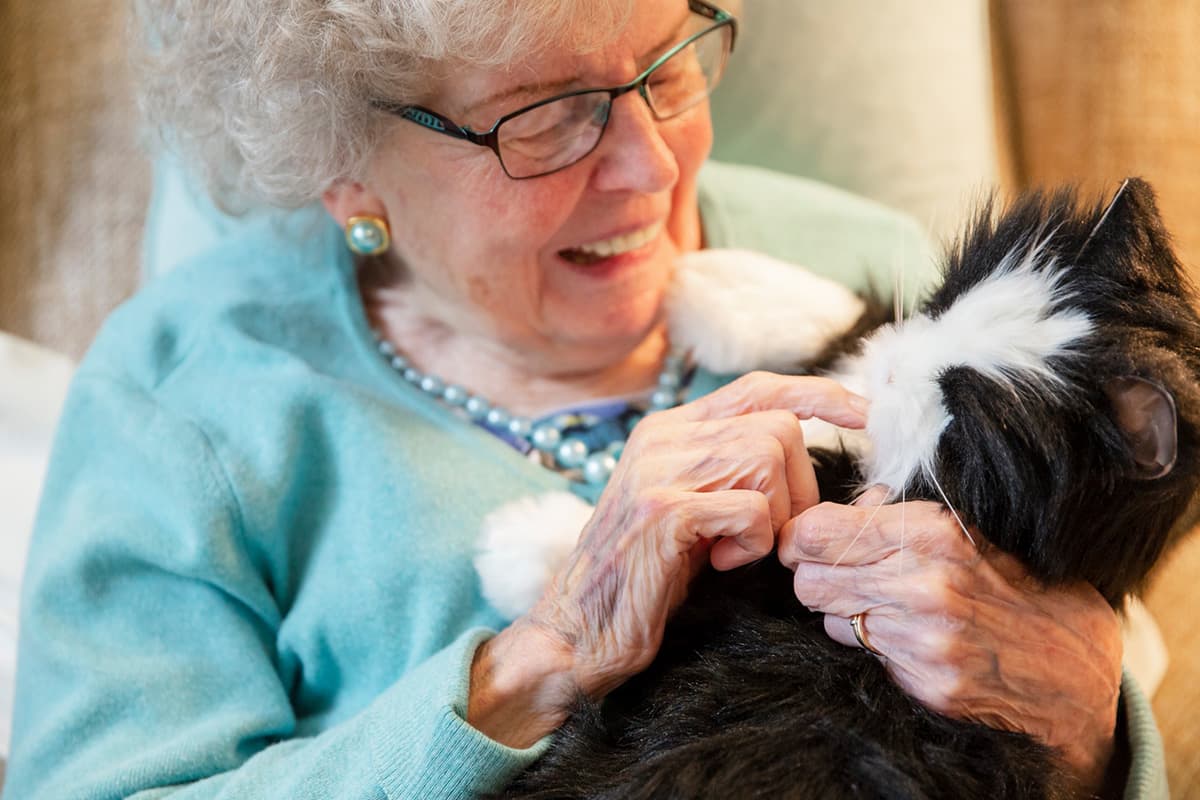 Caretech-opens-the-world- pet-therapy- robots-selling -Thailand-first -in -Asia-SPACEBAR-Photo02.jpg