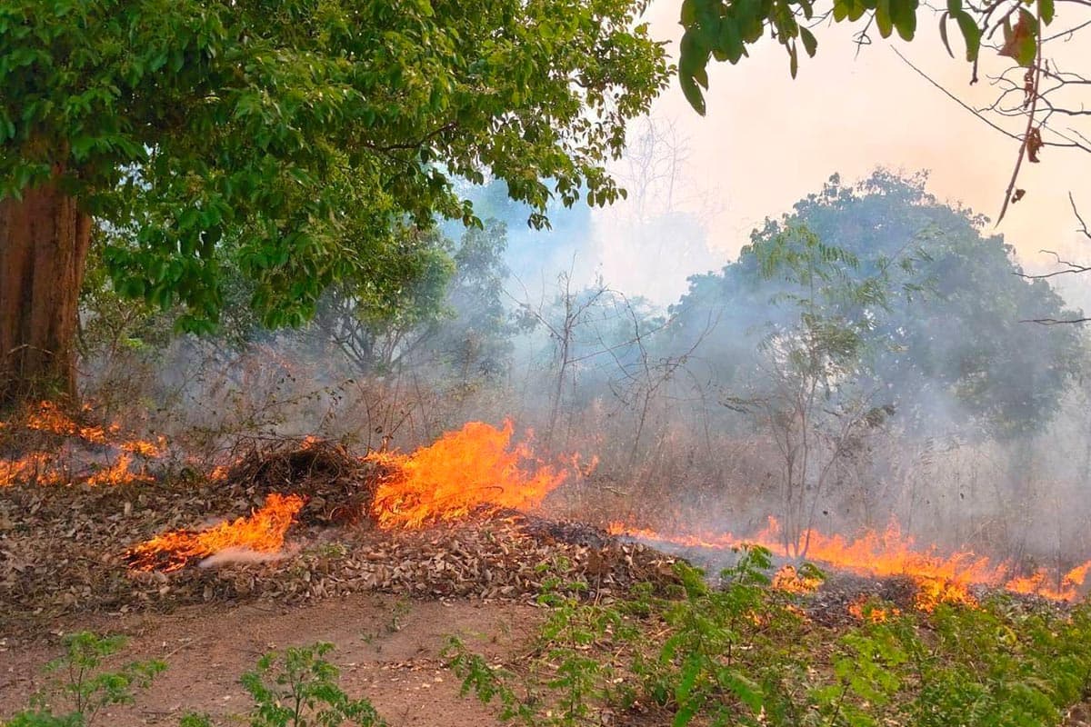 Chiang Mai-is-accelerating-measures-to-sustainably-address-air-pollution-and-wildfires-SPACEBAR-Photo06.jpg