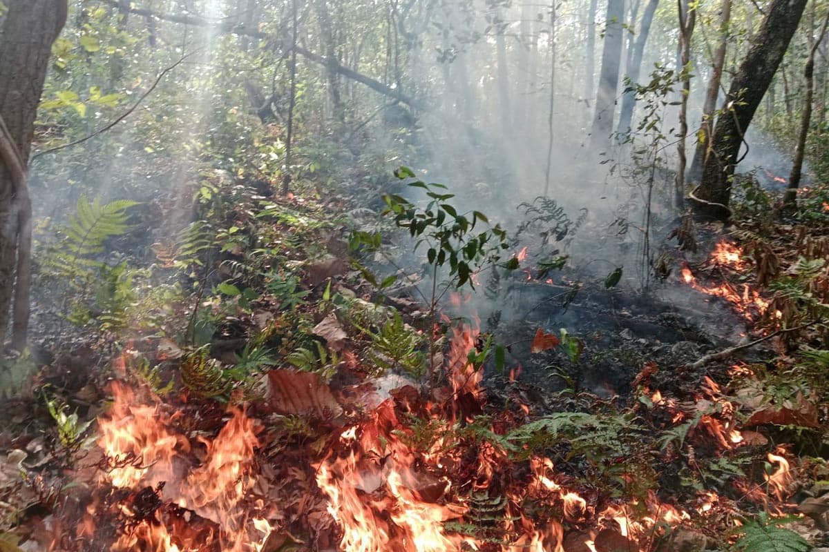 Chiang Mai-is-accelerating-measures-to-sustainably-address-air-pollution-and-wildfires-SPACEBAR-Photo09-1.jpg