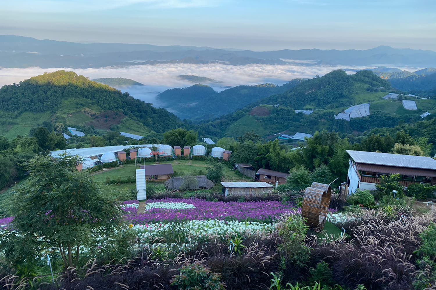 ท่องเที่ยวเชียงใหม่ “ปลายฝนต้นหนาว” นักท่องเที่ยวหดหาย ยอดจองที่พักแนวธรรมชาติลดฮวบ!