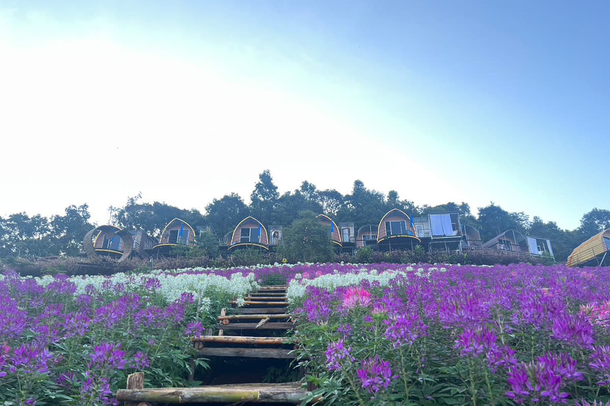 Chiang Mai-tourism-Late-rainy-season- early-winter-Tourists-disappear-hotel-bookings-plummet-SPACEBAR-Photo07.jpg