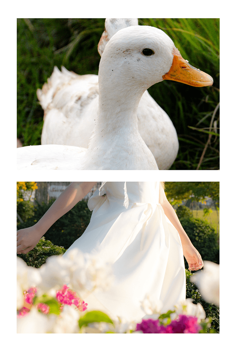 มนุษย์เป็ด