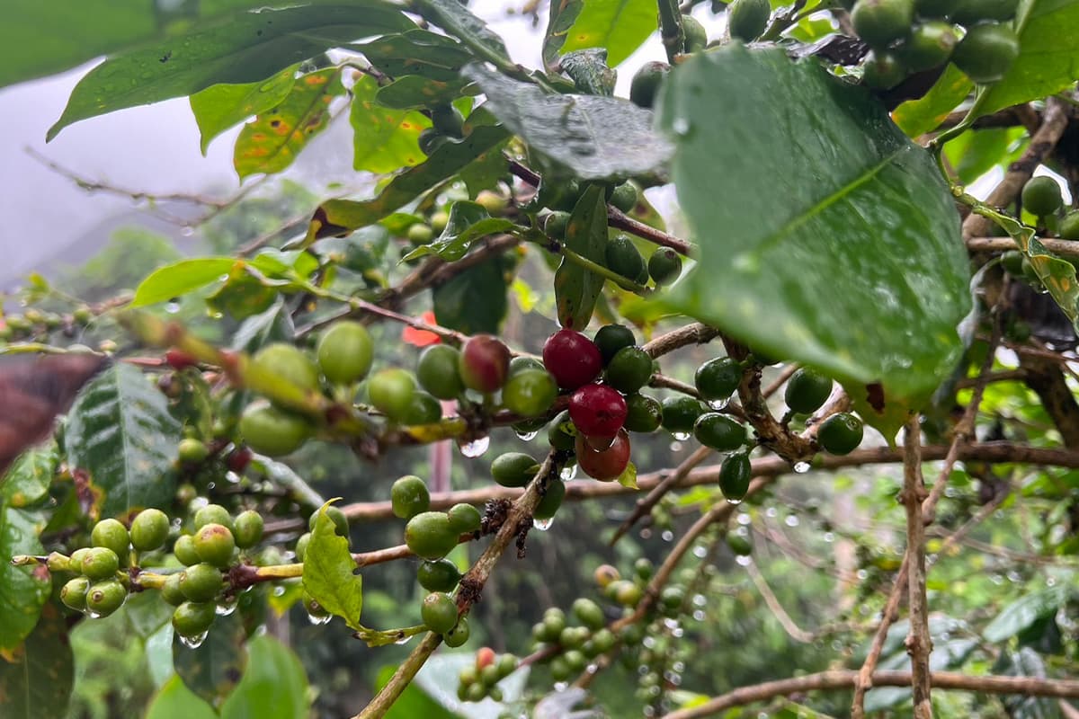 Her-Majesty-the-Queen Mother-Royal-Initiative-Project-Little-House-SPACEBAR-Photo04.jpg