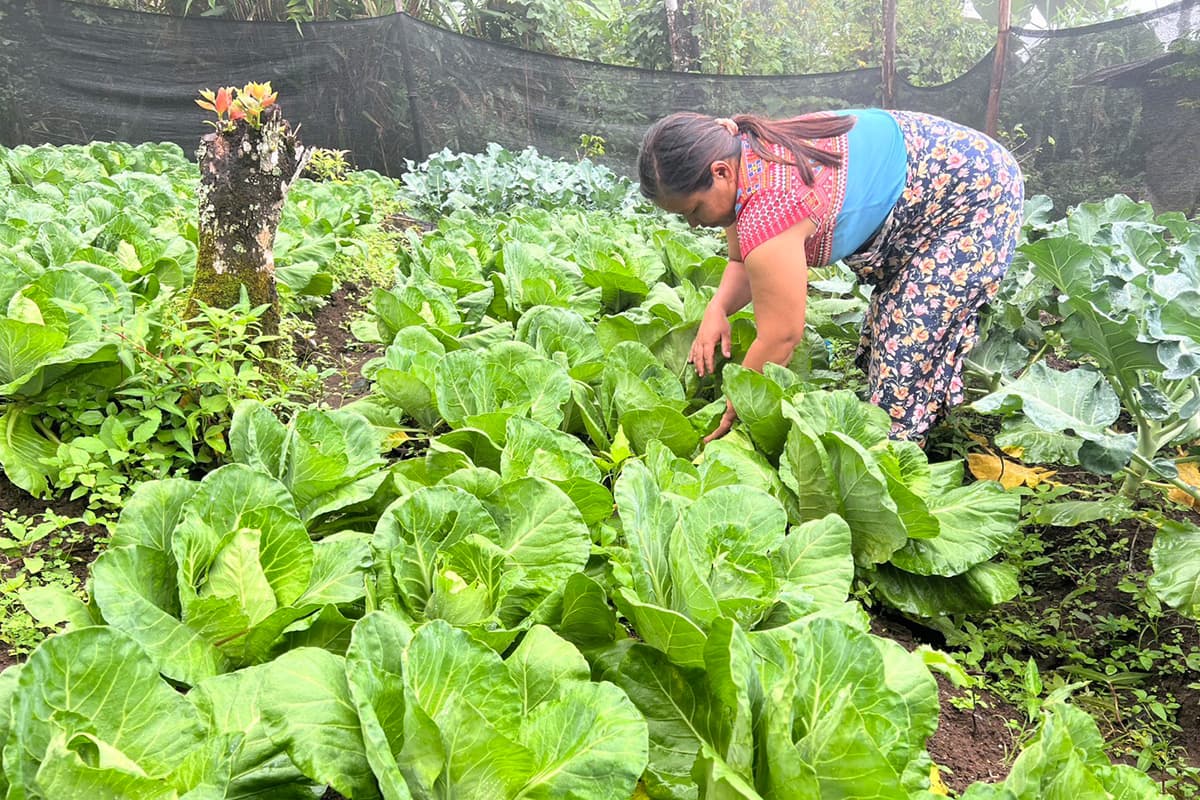 Her-Majesty-the-Queen Mother-Royal-Initiative-Project-Little-House-SPACEBAR-Photo05-1.jpg