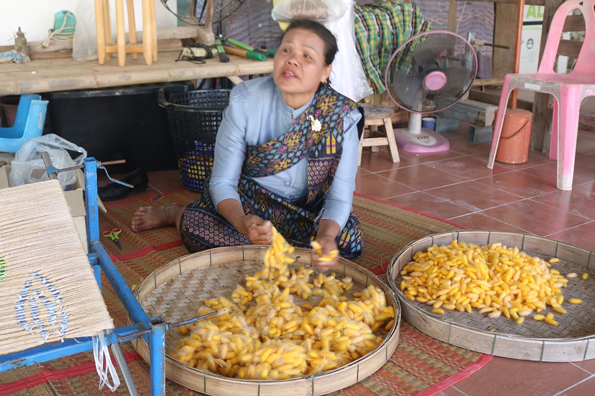 Her-Majesty-the-Queen Mother-gave-life-to-the-silk-people-of-Isan-creating-a-career-SPACEBAR-Photo06-1.jpg