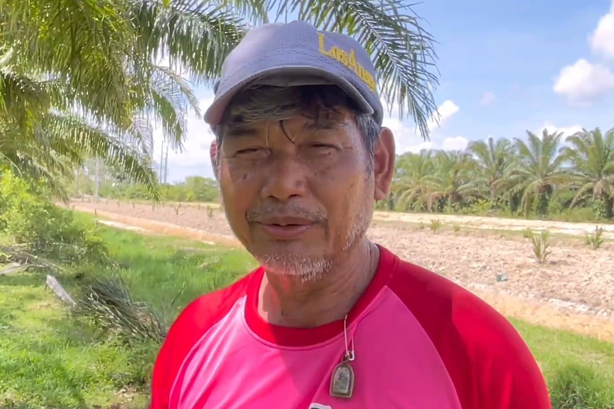 Palm-oil-oversupply-prices-still-low-Trang-farmers-ask-Factory-to-buy-at-5-baht-per-kg-SPACEBAR-Photo01.jpg
