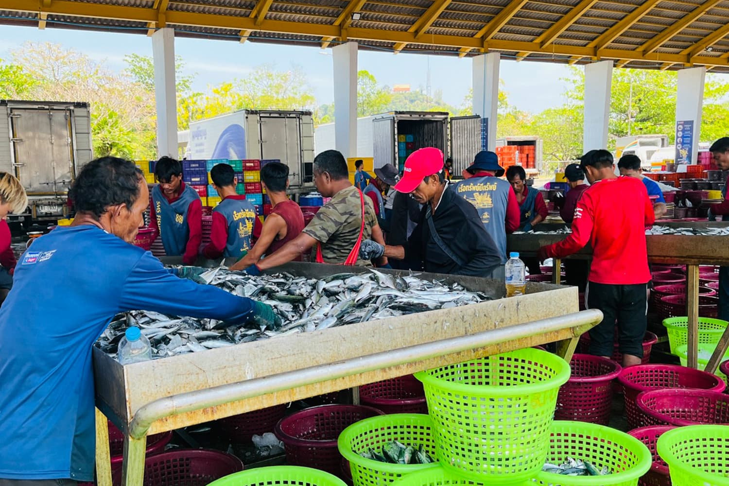 น้ำมันราคาพุ่ง! ประมงพาณิชย์ภูเก็ตอ่วม แบกภาระหนัก หวั่นสะเทือนห่วงโซ่อาหารทะเล