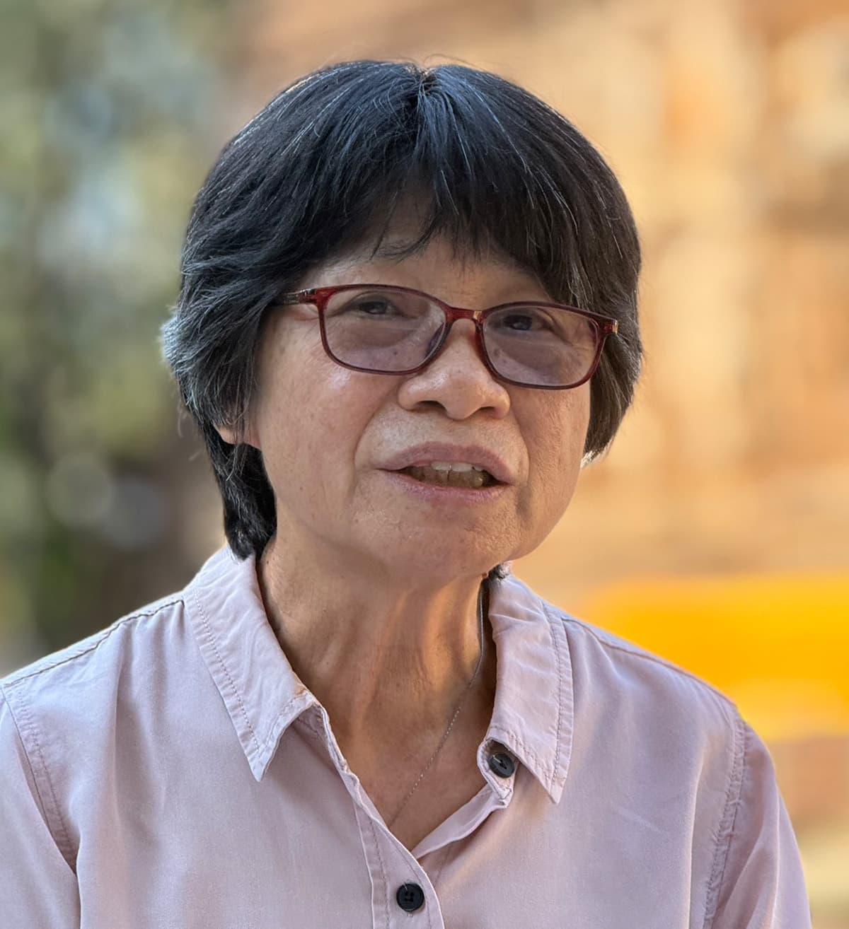 Preparing-Chiang Mai-for-World-Heritage-Status-Cultural-Landscape-SPACEBAR-Photo01.jpg