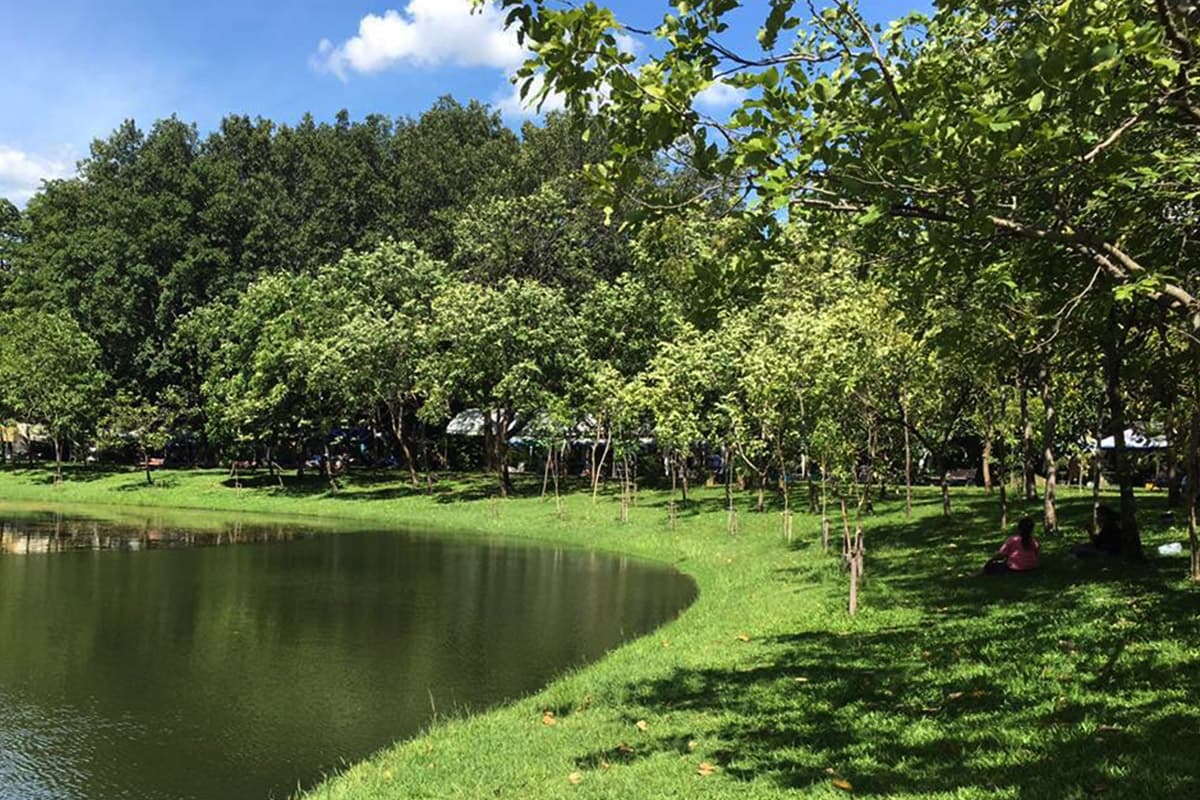 Queen Sirikit-Park-A-small-forest-in-a-big-city-SPACEBAR-Photo02.jpg