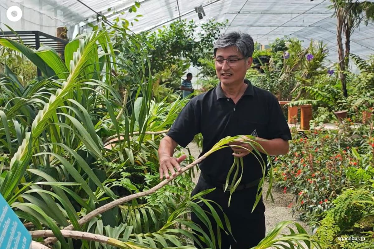 Queen-Sirikit-Botanical-Garden-pays-homage-to-the-grace-of-Her-Majesty-the-Queen Mother-SPACEBAR-Photo06.jpg