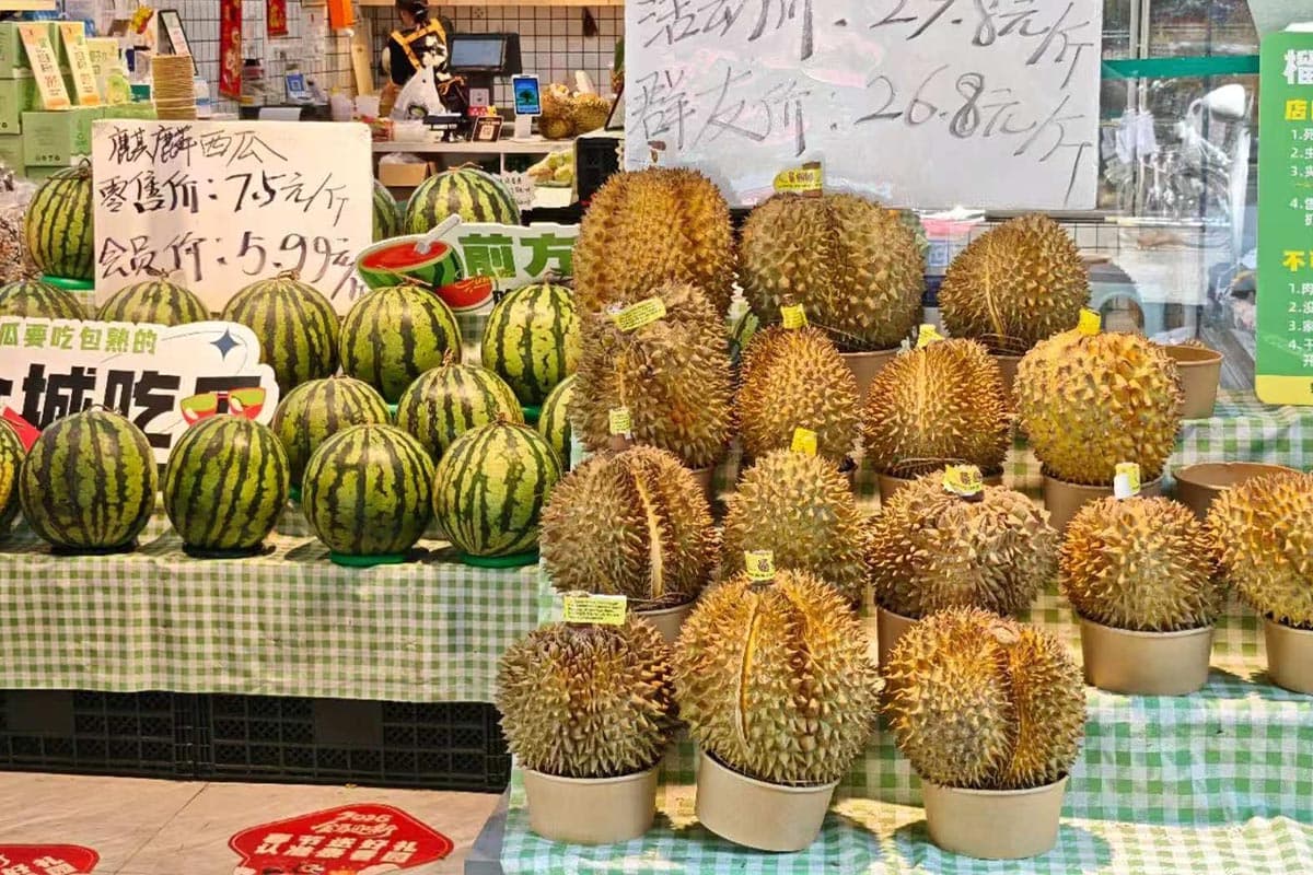 Thai-durian-fever-has-captured-the-hearts-of-consumers-in-the-Chinese-market-SPACEBAR-Photo01.jpg