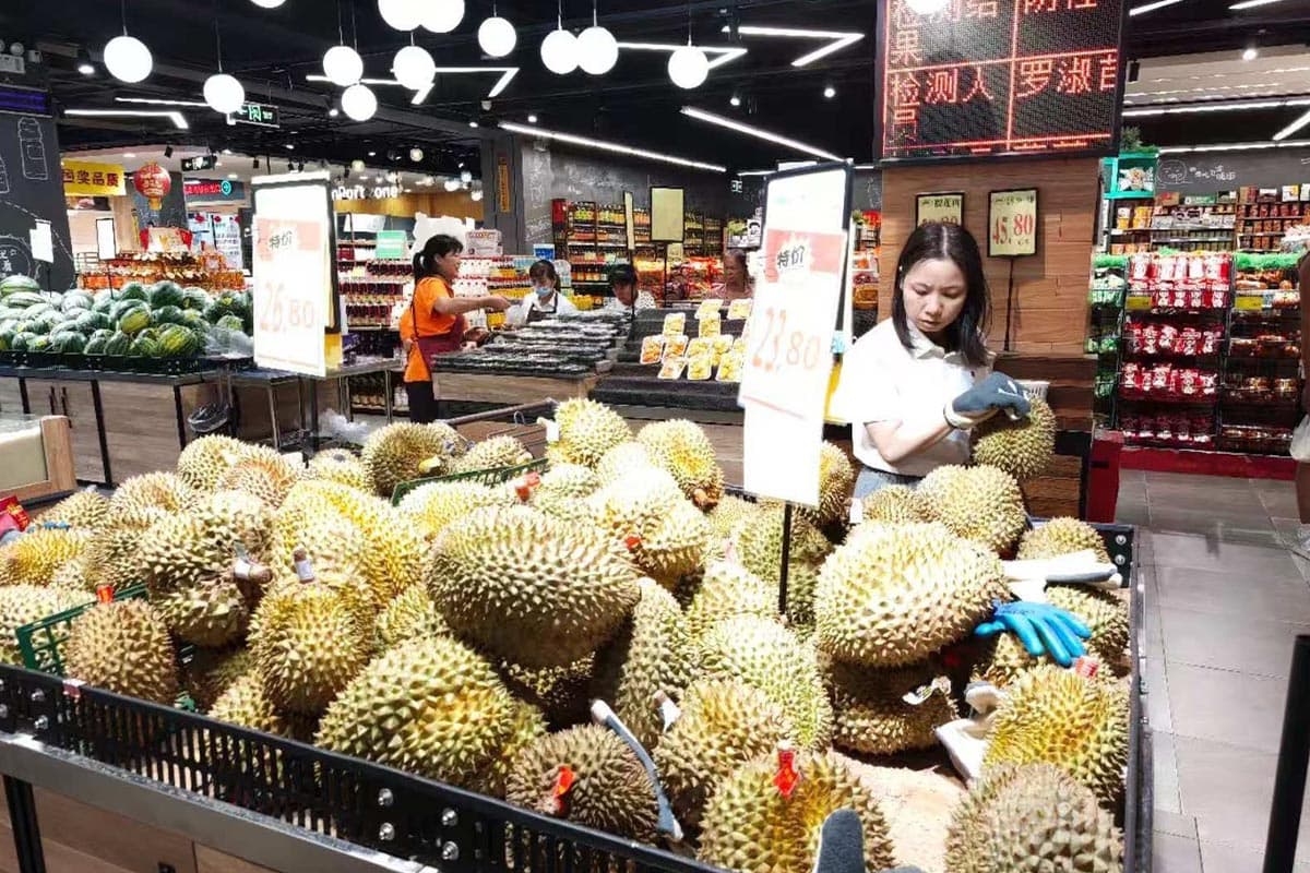 Thai-durian-fever-has-captured-the-hearts-of-consumers-in-the-Chinese-market-SPACEBAR-Photo02.jpg