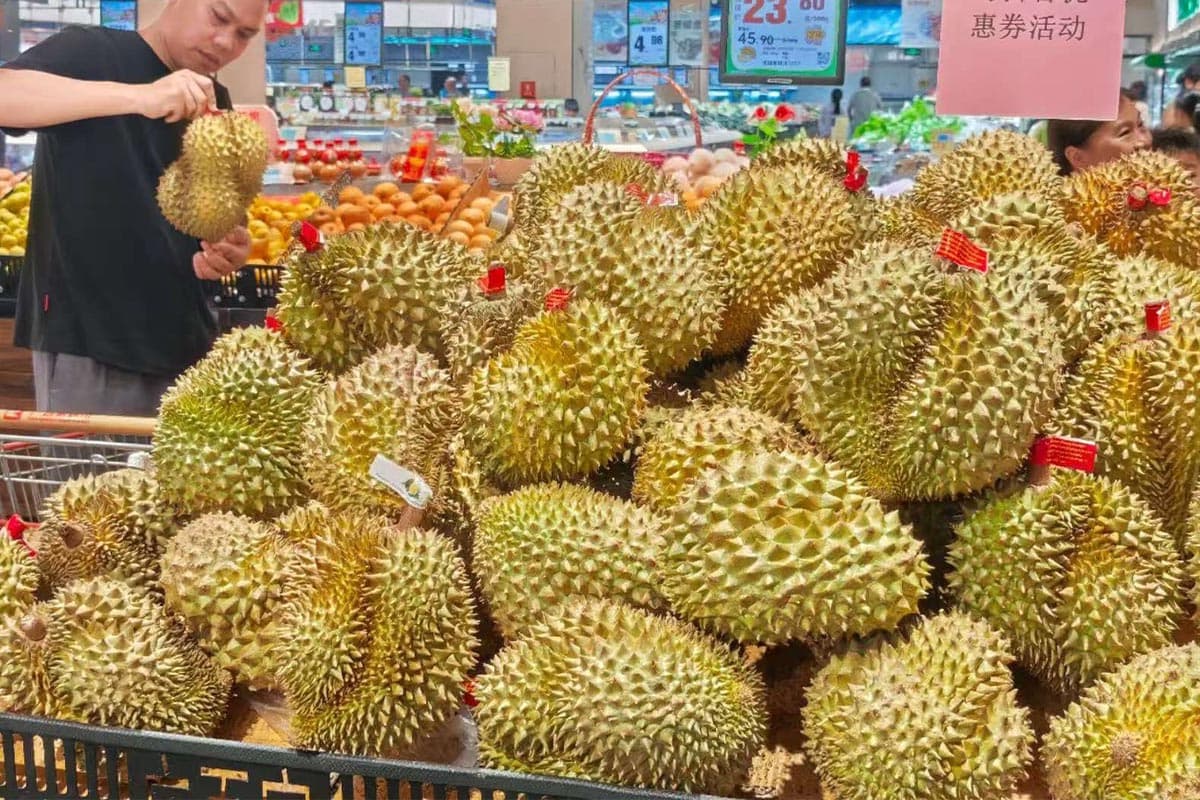 Thai-durian-fever-has-captured-the-hearts-of-consumers-in-the-Chinese-market-SPACEBAR-Photo03.jpg