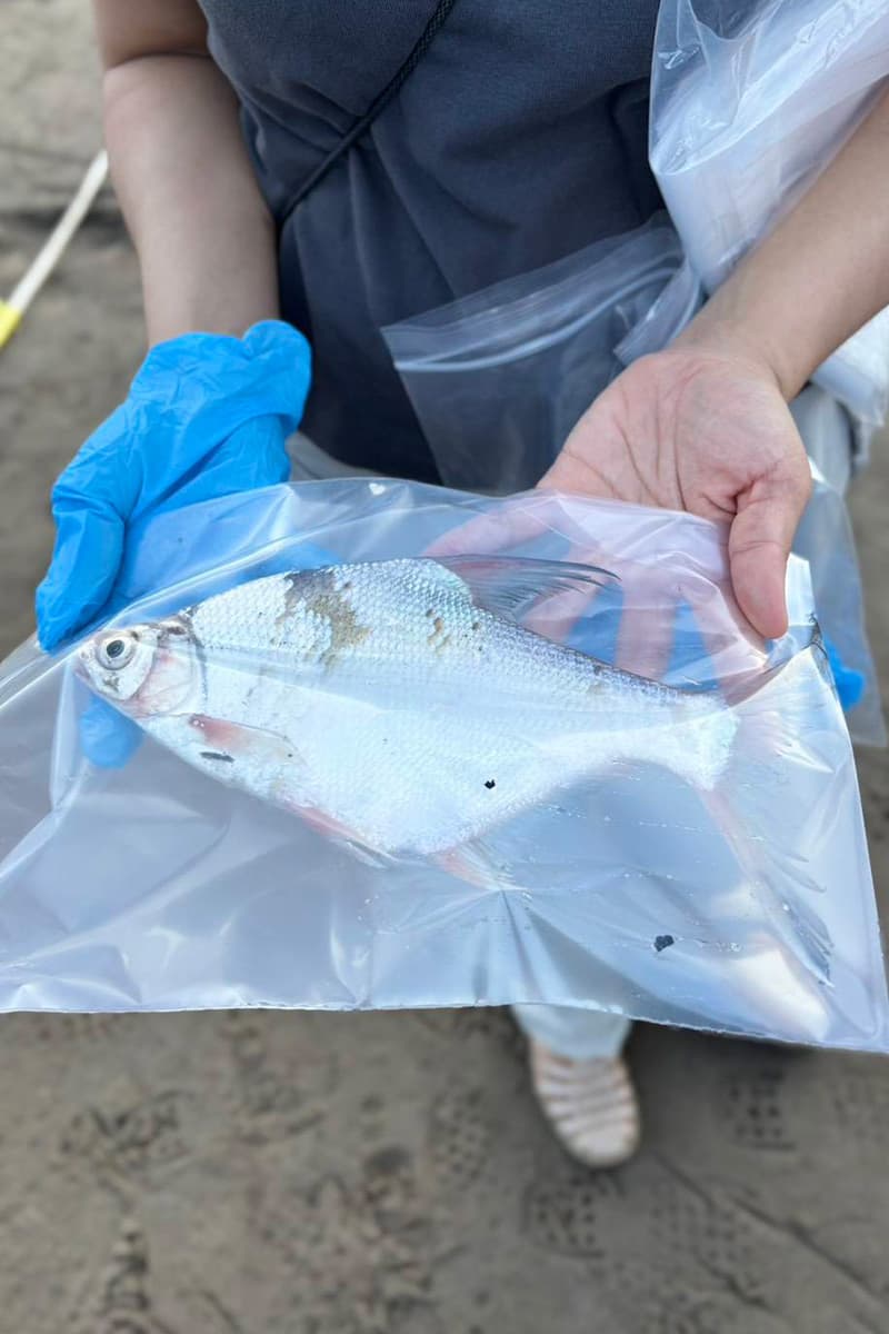 The-Salween River-contamination-crisis-SPACEBAR-Photo V03-1.jpg