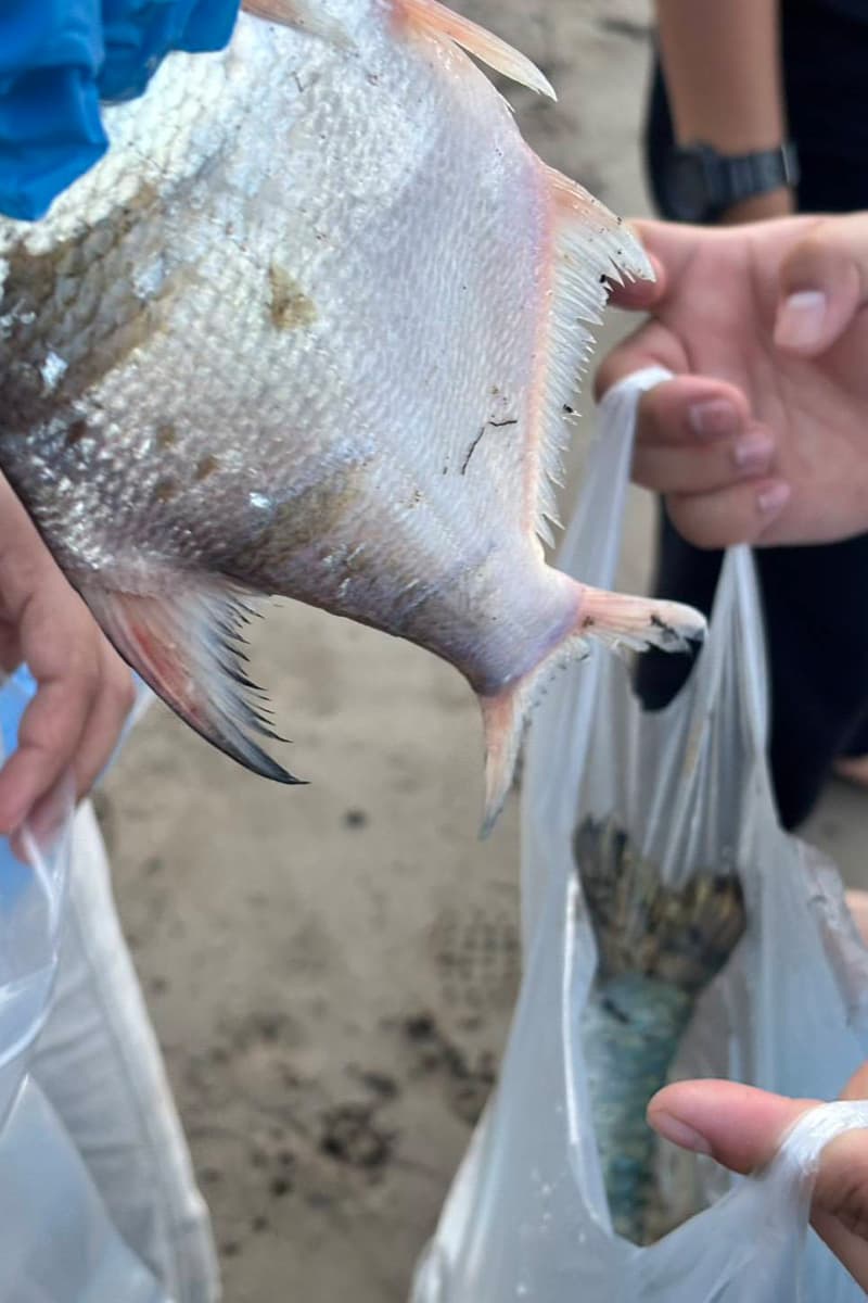 The-Salween River-contamination-crisis-SPACEBAR-Photo V04-1.jpg