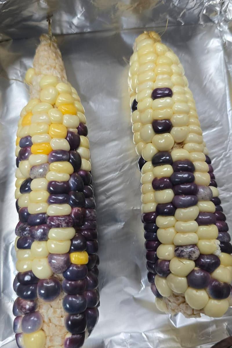 The-Salween River-contamination-crisis-SPACEBAR-Photo V05.jpg