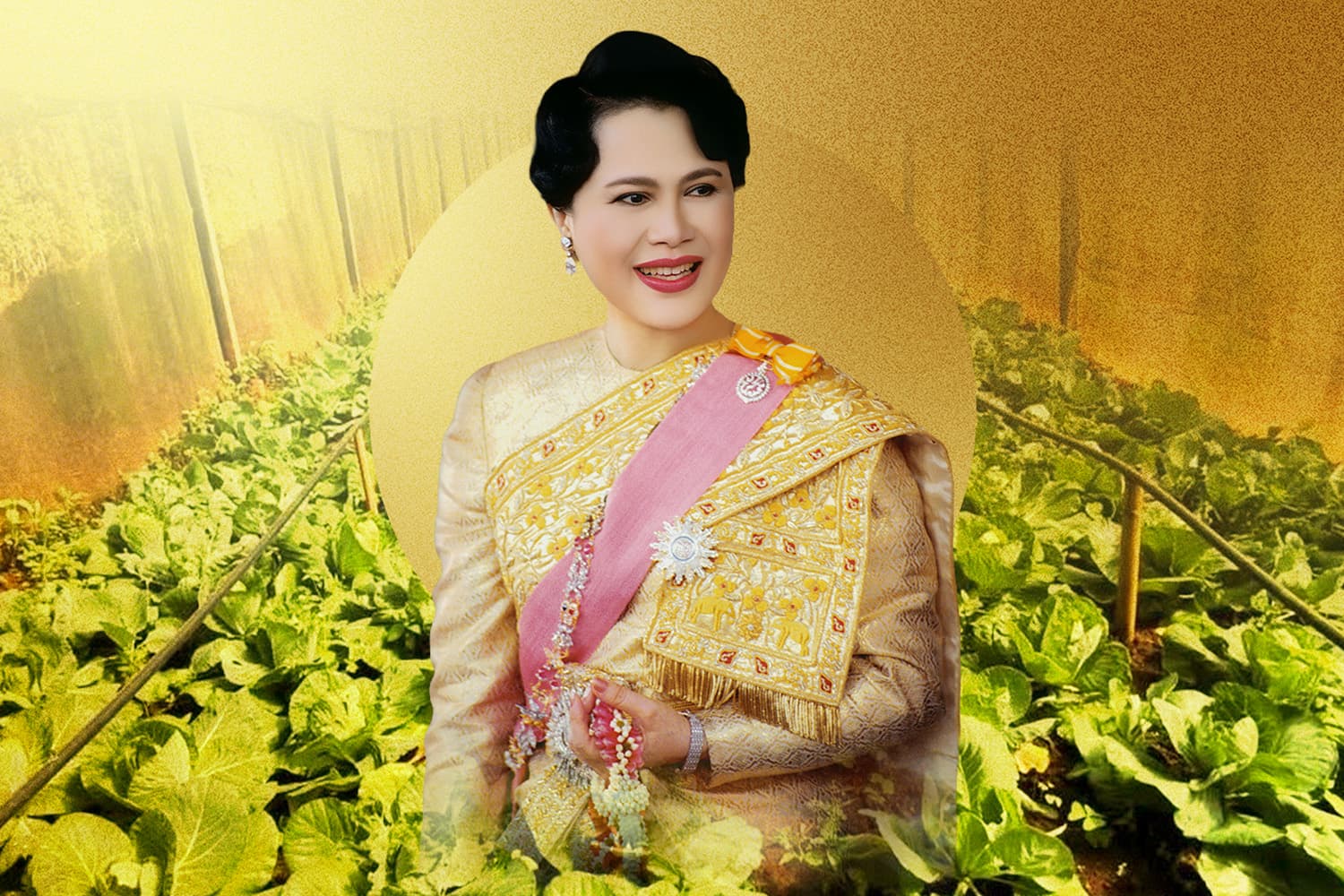 ฟาร์มตัวอย่างบ้านขุนแตะ อ.จอมทอง จ.เชียงใหม่ “ฟาร์มตัวอย่างแห่งแรกของไทย” ภายใต้ร่มพระบารมีพระพันปีหลวง