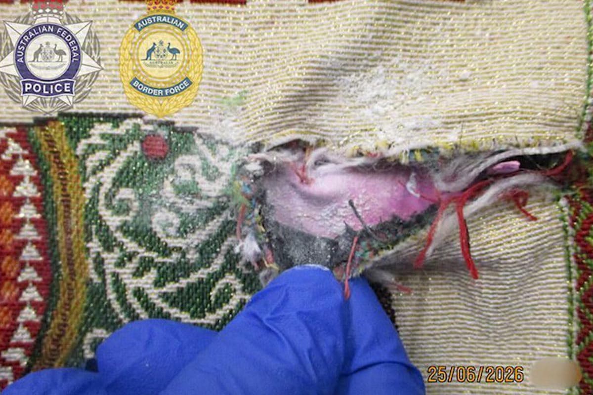 Tracking-down-a-drug-trafficking-network-operating-through-airport-gates-a-transnational-drug-bust-SPACEBAR-Photo02.jpg