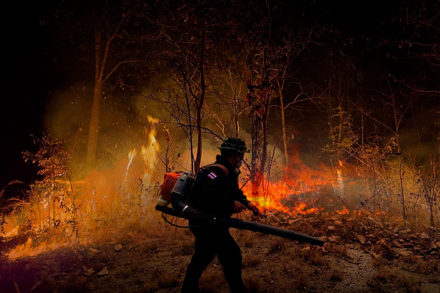 ‘เชียงใหม่’ เริ่มเกิดไฟป่าลุกลามพื้นที่ทางตอนใต้ เร่งระดมมาตรการแก้ปัญหา ลดผลกระทบประชาชน