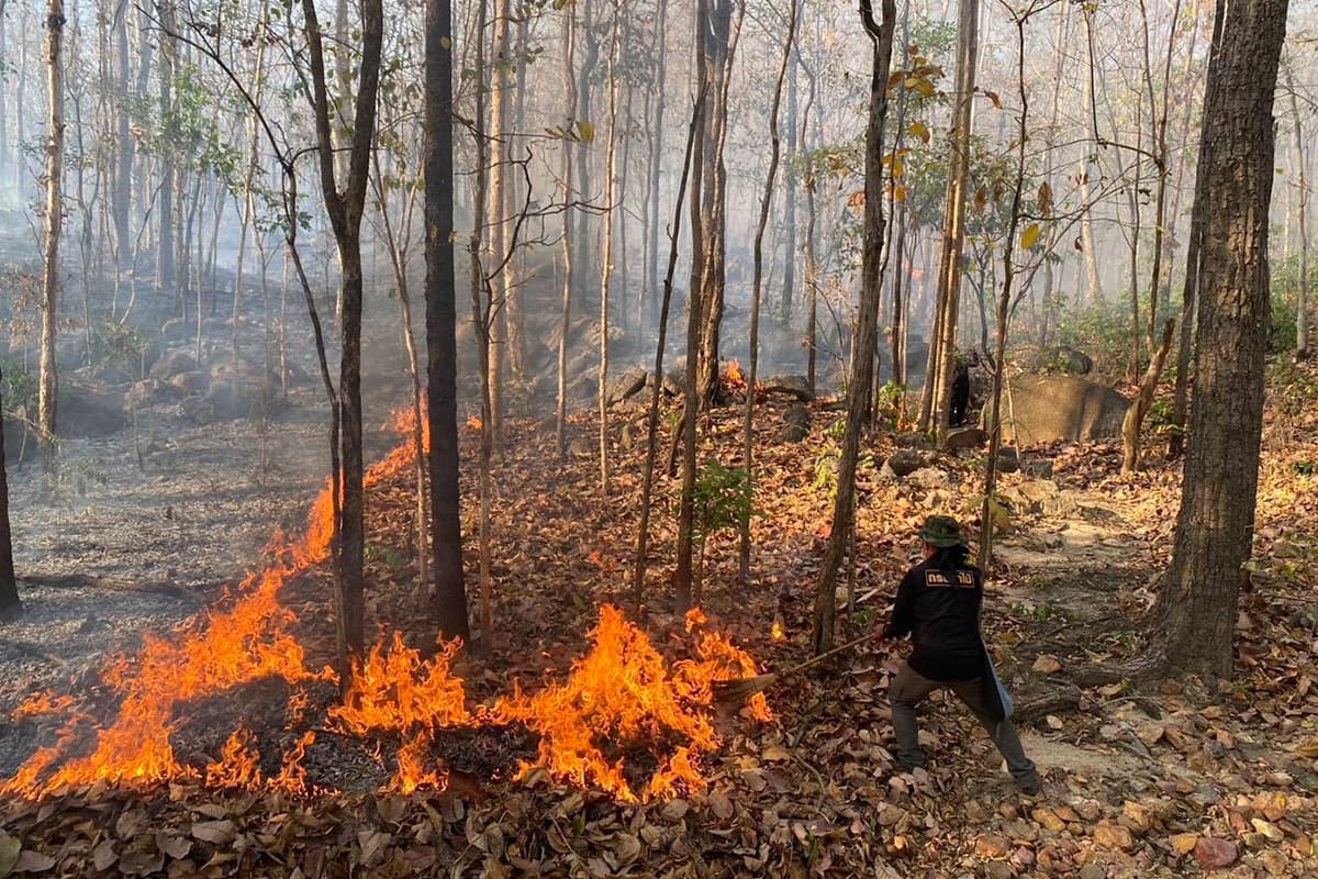 Wildfires-have-spread-extensively-in-several-areas-of-Chiang Mai-province-SPACEBAR-Photo05.jpg