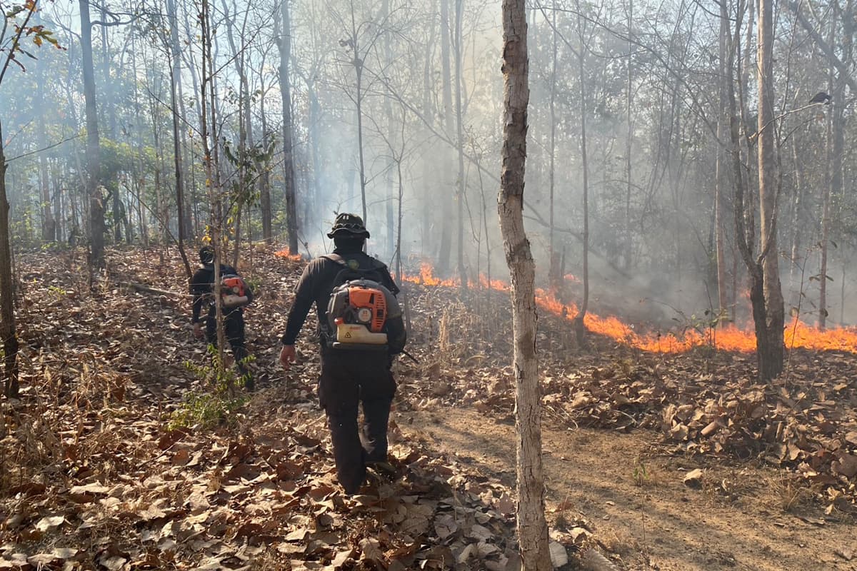 Wildfires-have-spread-extensively-in-several-areas-of-Chiang Mai-province-SPACEBAR-Photo06.jpg