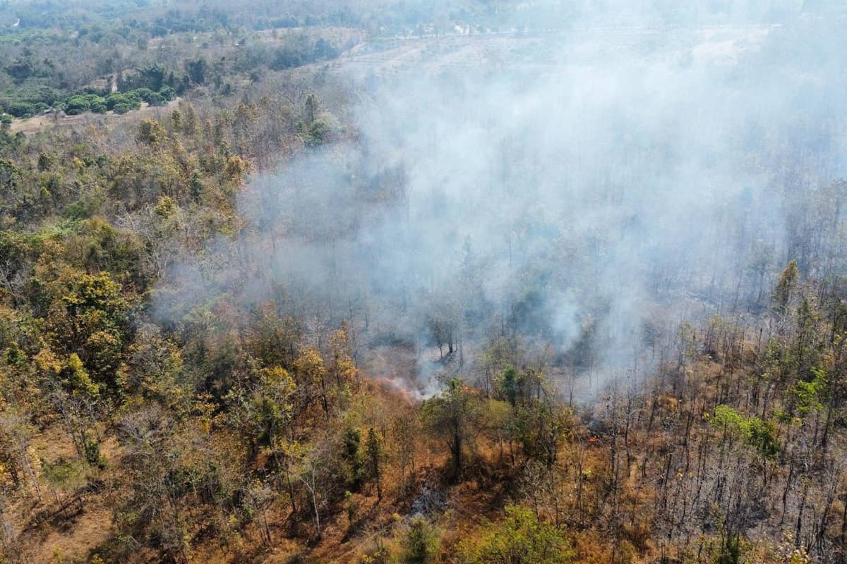 Wildfires-have-spread-extensively-in-several-areas-of-Chiang Mai-province-SPACEBAR-Photo07.jpg