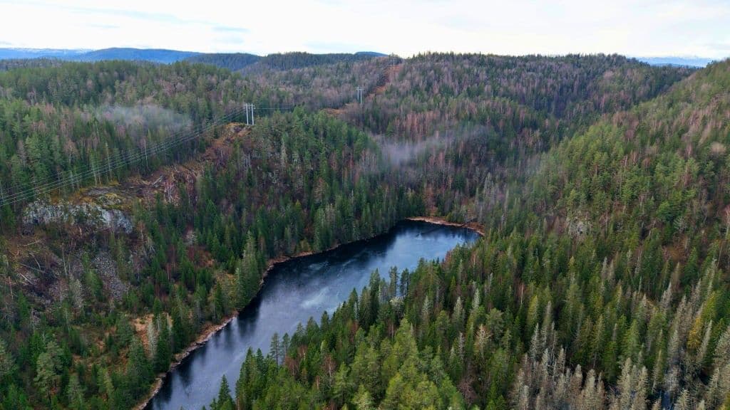 ด้วงจิ๋วขวางแผนขุดแรร์เอิร์ธแหล่งใหญ่ที่สุดในยุโรป หวังเลิกพึ่งพาจีน ตั้งเป้าผลิตเอง 10% ภายในปี 2030