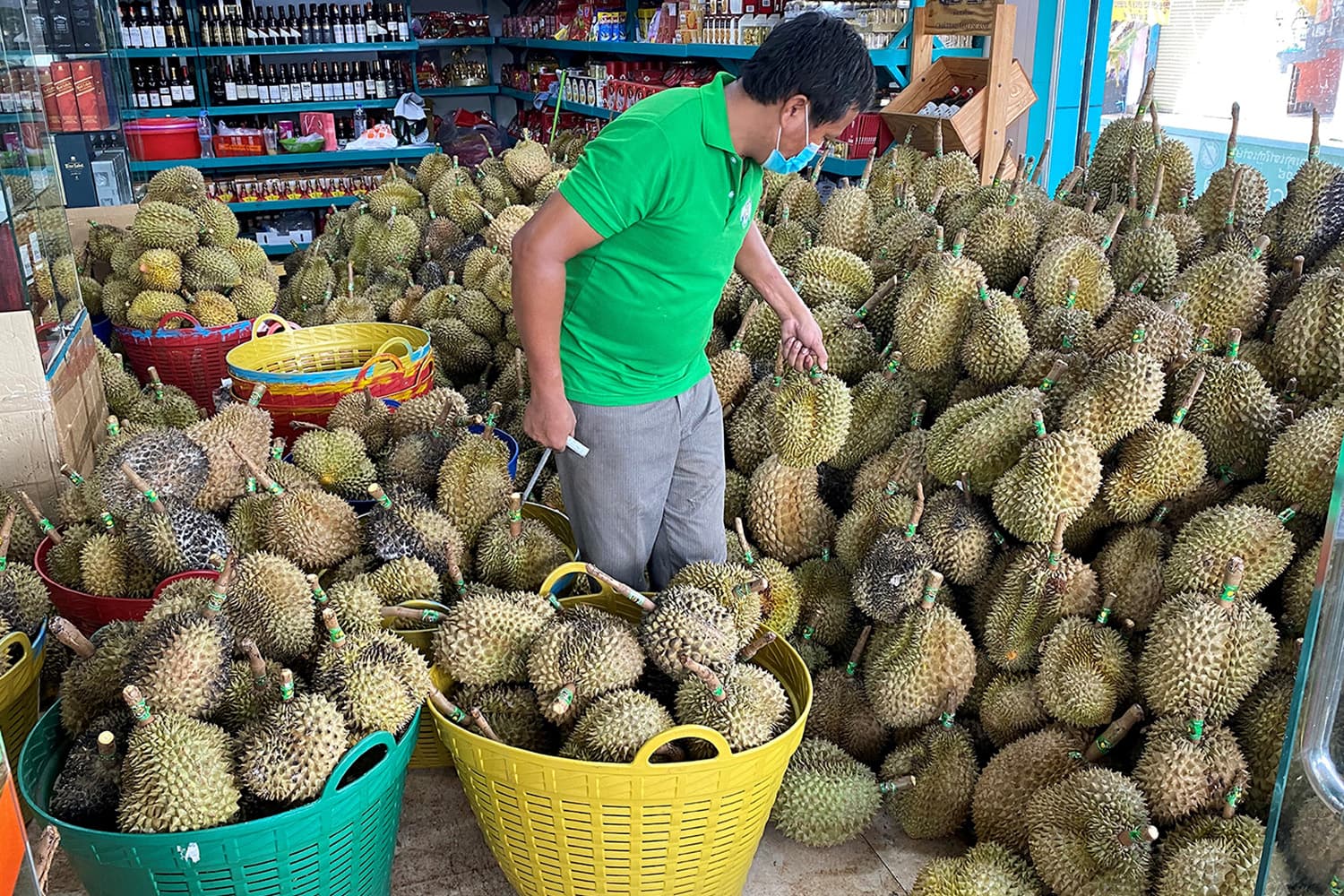 กัมพูชาเริ่มส่งทุเรียนขายจีนหวังแข่งเจ้าตลาดอย่างไทย-เวียดนาม-มาเลย์