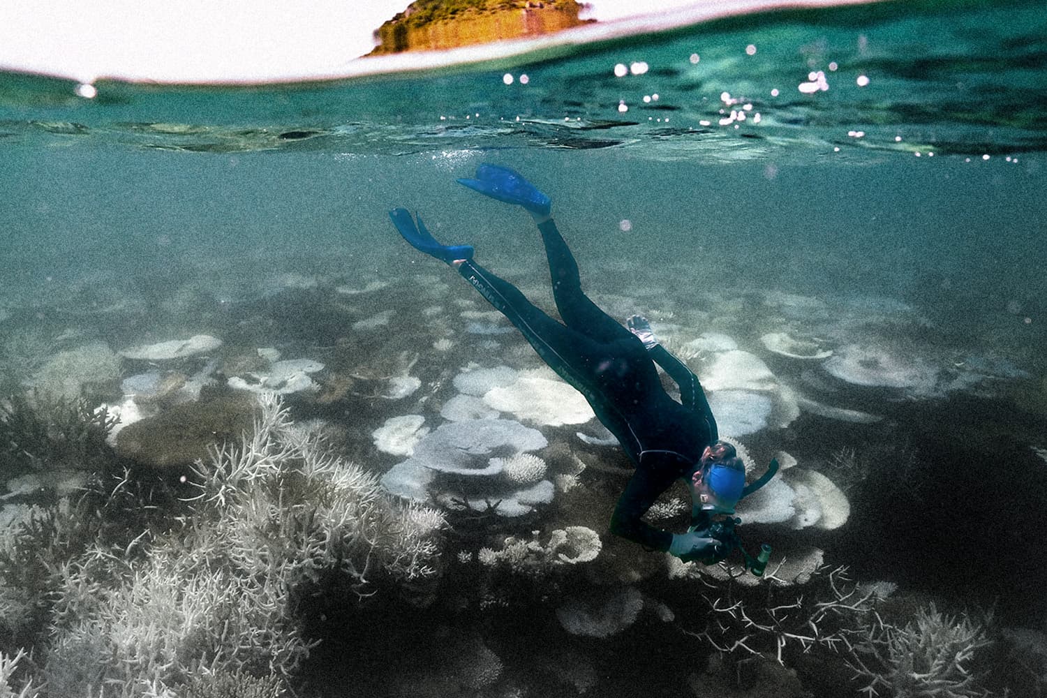 แนวปะการังโลกวิกฤต นักวิทย์ฯ ชี้ข้ามจุดเปลี่ยนที่ไม่อาจย้อนกลับได้แล้ว